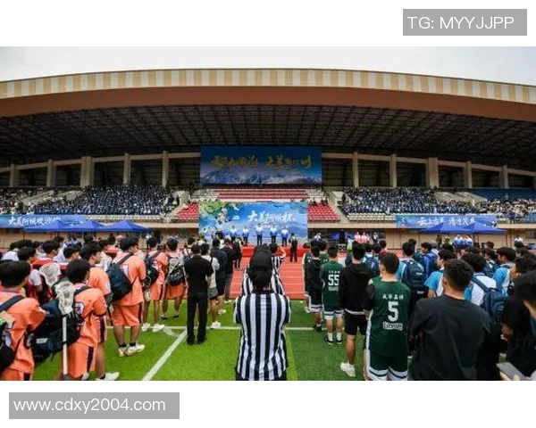 南京网球队的节奏与激情探讨聚焦网球运动的未来发展与挑战