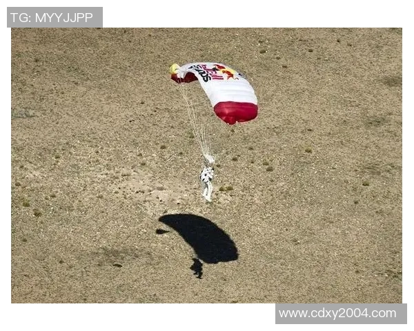 北京极限运动队意识表现的数据分析与研究探讨 北京极限运动队意识表现的数据分析与研究探讨