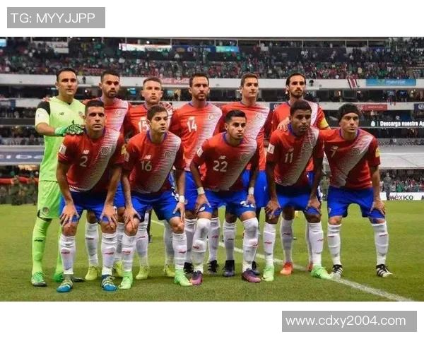 广州排球队个人能力深度对比与战术影响分析 广州排球队个人能力深度对比与战术影响分析