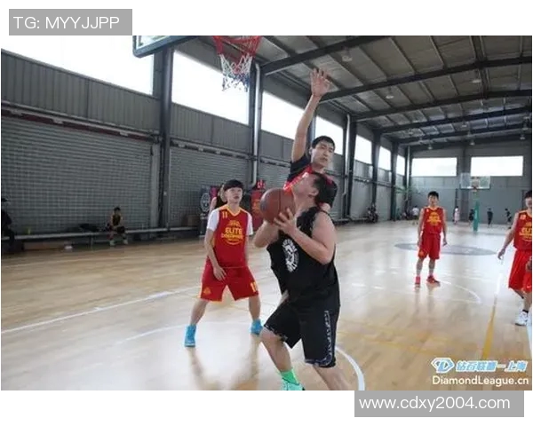 深圳排球队在钻石联赛中的速度表现分析与展望