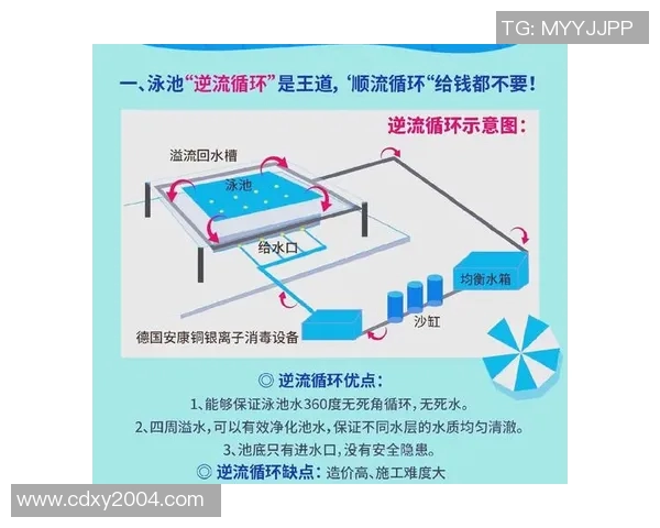 泳池安全管理与应急措施全面指南确保游泳者健康与安全